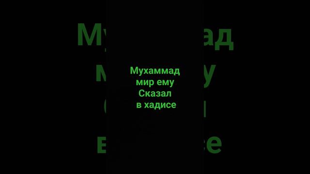 Мухаммад мир ему сказал что читать перед сном #религия #напоминания #ислам # смотреть онлайн