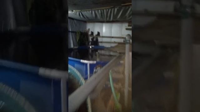 Узв. Как бизнес в гараже. смотреть онлайн