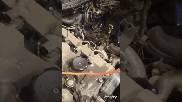 Сажа в коллекторе) смотреть онлайн