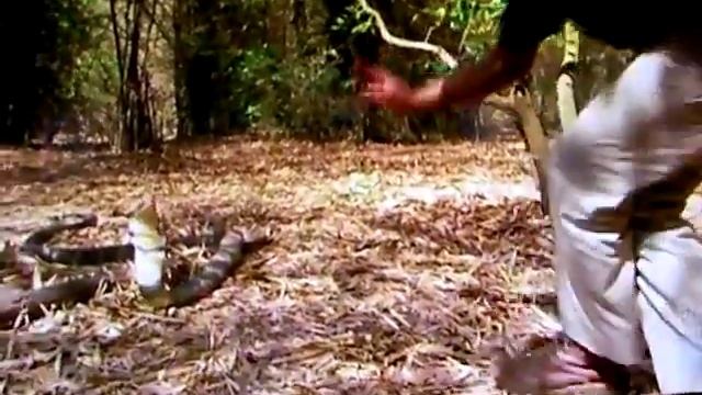 austin stevens with risks смотреть онлайн