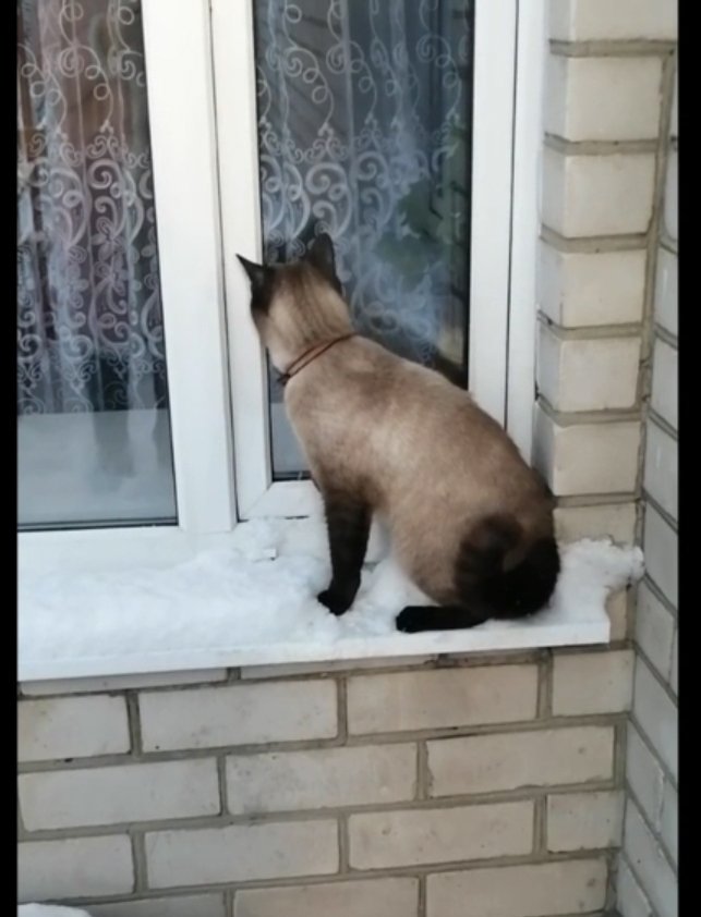 Тут хорошо! Но! Ой, как домой хочу...