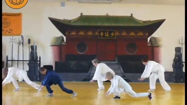 День тайцзицюань Центр ДАМО смотреть онлайн