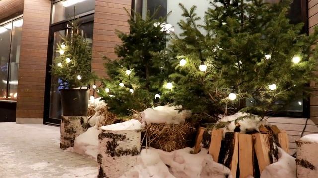г.Новосибирск ул.Ленина 25. Подсветка фасада здания. Установка световых опор уличного освещения. смотреть онлайн