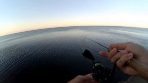 Брать ли спиннинг на море? Что можно поймать на Азове?