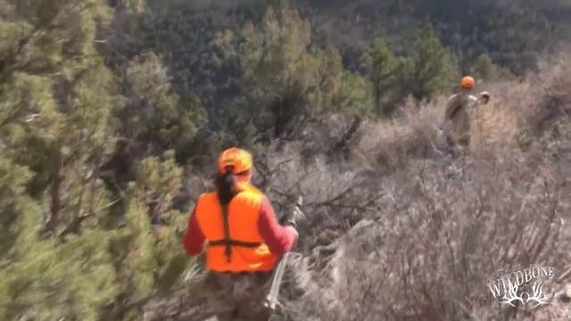 Hunting Colorado Elk On Public Land смотреть онлайн