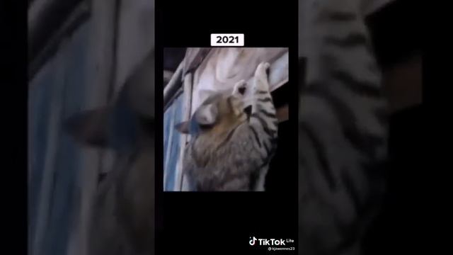 что у меня происходит в животе первая часть 🤣😂 смотреть онлайн