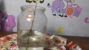 ВАУ! 😍😃 ПОСТАВИЛА ЦВЕТОНОС В ВОДУ И ИЗ ПОЧКИ РАСТЕТ ДЕТКА!