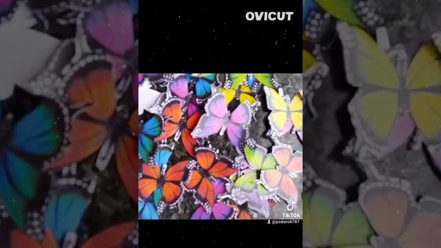 Букет с бабочками. Детский букет. Оригинальный подарок на день рождение. смотреть онлайн