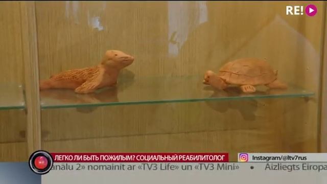 Легко ли быть пожилым? Социальный реабилитолог смотреть онлайн