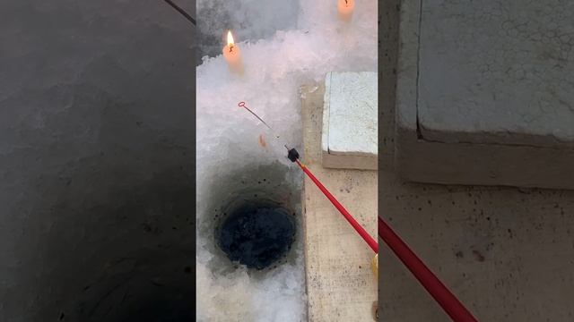Рыбалка в Митрофаново 22.02.21 смотреть онлайн