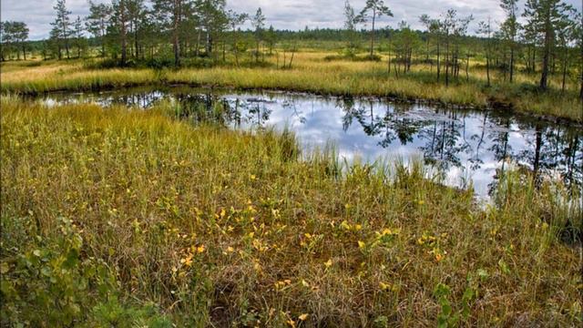 Поезд Тумская - Владимир смотреть онлайн