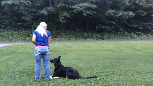 Sloan down stay work смотреть онлайн