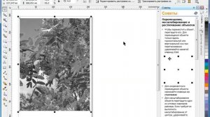Настройка цвета и тона в  CorelDraw. Часть 2