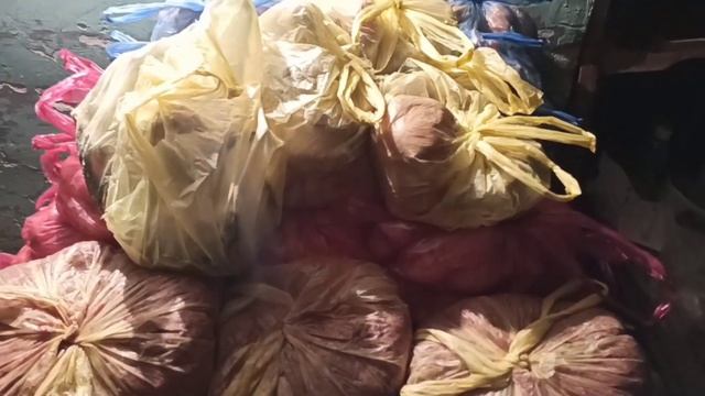 ГРУЗИНСКАЯ ГОРНАЯ СОБАКА ? Как мы кормим волкодава ? Кормление питбуля ? Кормление щенков ? смотреть онлайн