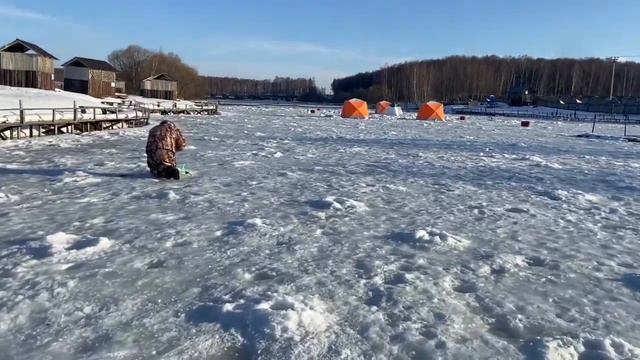 Зарыбление форели 0.8-2кг смотреть онлайн