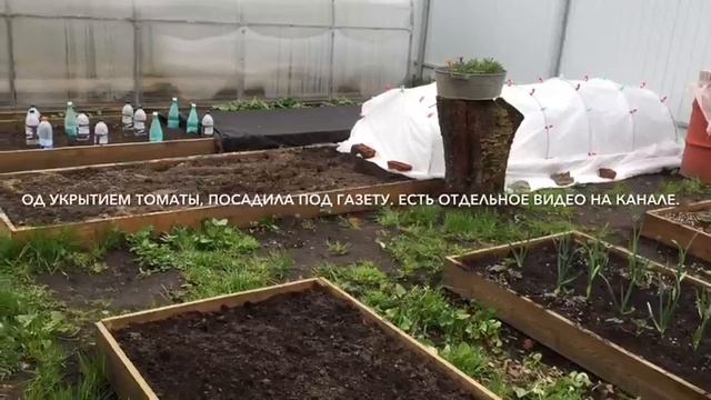 Май 2018. КАБАЧКИ НА КРАПИВЕ/Сажаю кабачки на крапиву. В тачку, корыто, бидоны. Трудовые будни смотреть онлайн