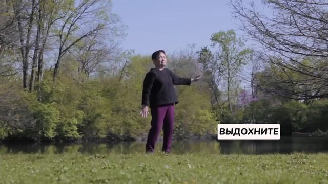 8 КУСКОВ ПАРЧИ | КОМПЛЕКС УПРАЖНЕНИЙ ЦИГУН | ЕЖЕДНЕВАЯ ПРАКТИКА ЦИГУН 20 МИН смотреть онлайн