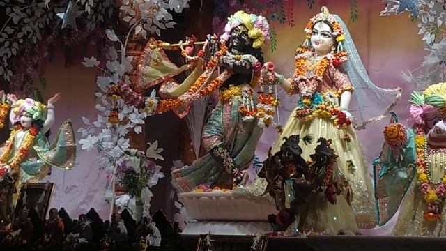 Hare krishna Maha mantra jaap #harekrishna #krishna #radhakrishna #radha #virdavan #viralvideo смотреть онлайн