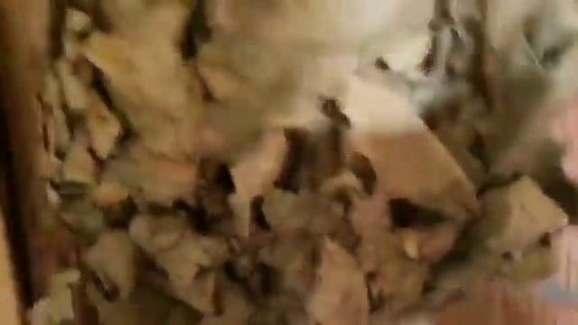 Баня на сплаве "Угра - тайна генерала" смотреть онлайн