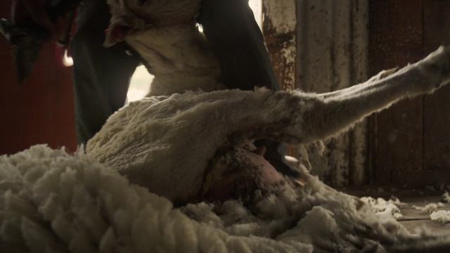 Дикая Патагония 2 серия «Жара и пыль» (документальный сериал, 2015) смотреть онлайн