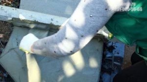 Тротуарная дорожка своими руками по технологии Печатный бетон/© 2021 г.