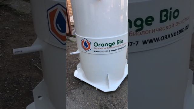 Кессон для абиссинки смотреть онлайн