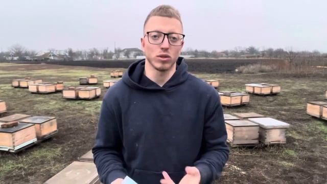 How much money beekeeping brings in смотреть онлайн