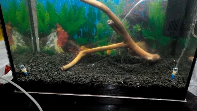 Аквариумный распылитель своими руками смотреть онлайн