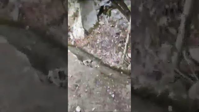 my 2 vlog , it's all about the dungal village, of batalik sector....hidden truth about this. смотреть онлайн