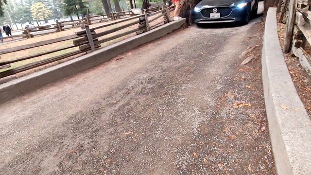 Путешествие по США часть 2 (UHD) 4K 60FPS смотреть онлайн