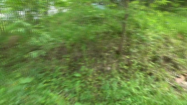 РЫБАЛКА НА ВОЛГЕ ПОД КАЗАНЬЮ. ЛОВЛЯ НОЧНОГО ЛЕЩА. смотреть онлайн