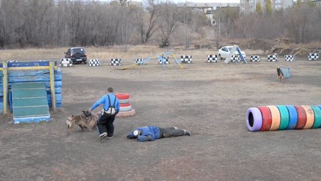 Собака в боевом наморднике смотреть онлайн