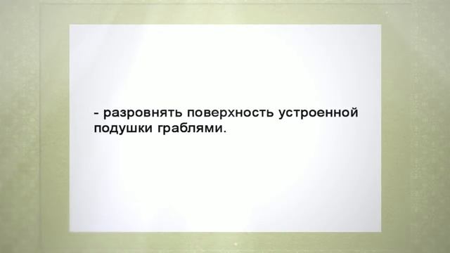 Как сделать садовую дорожку смотреть онлайн