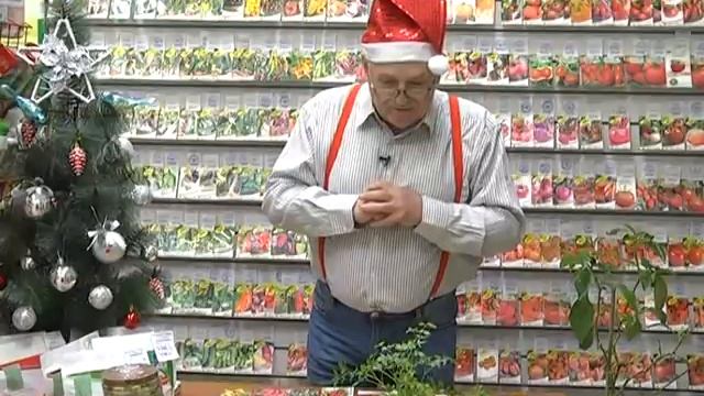 Дачные советы Галины Старосельцевой Декабрь 24-2020 смотреть онлайн