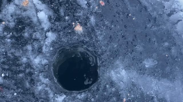 За "хорошей" плотвой. смотреть онлайн