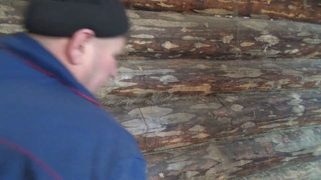 Конопатим . Сруб бани смотреть онлайн