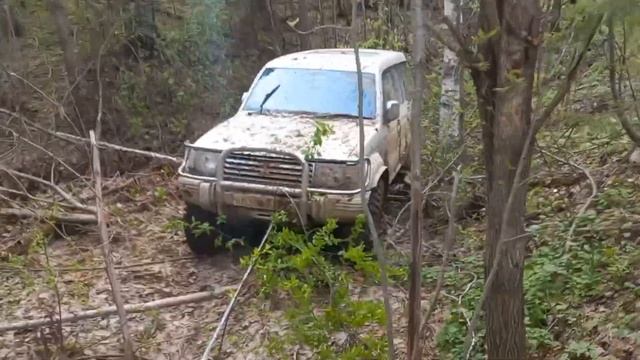 7 мая 2023 г. смотреть онлайн