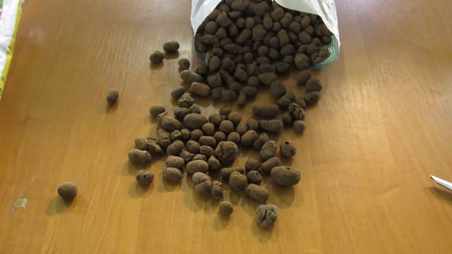 Почему НЕЛЬЗЯ использовать керамзит как дренаж для фиалки смотреть онлайн