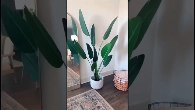 Amazon Home Decor Favorites💥Silk Bird of Paradise Palm Tree Potted Plant🔥 смотреть онлайн