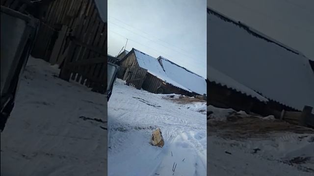 Покатушки на мотобуксировщике смотреть онлайн