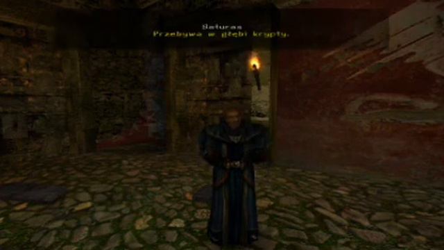 Zagrajmy w Gothic 2 NK #22 - Ornamenty dla Nefariusa смотреть онлайн