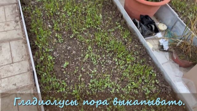 Конец сезона 2023. смотреть онлайн