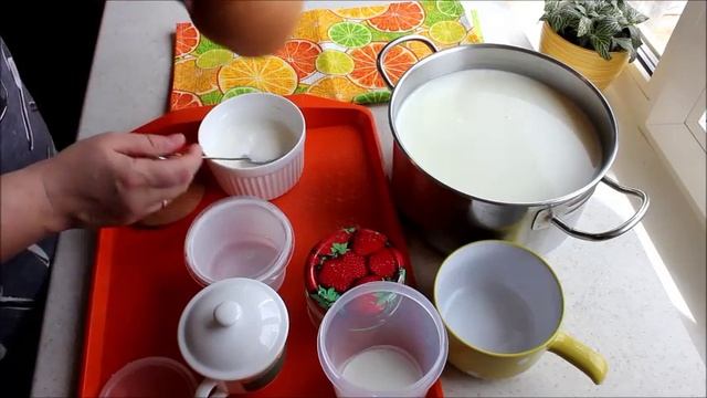 Анимационные Фильмы для Детей и Взрослых