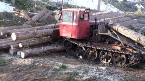 ТДТ-55 в действии... Штабелёвка леса...