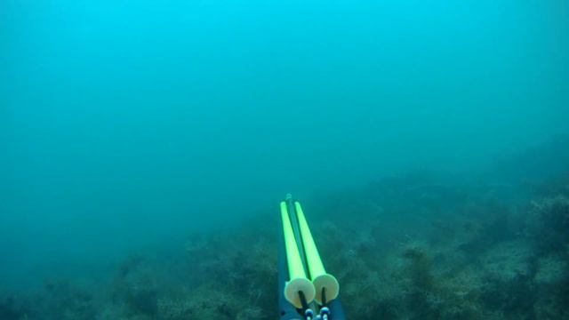 Подводная охота на черном море 24,09,22 смотреть онлайн