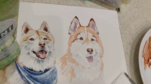 Aquarelle Pet Portrait ( рисунок хаски акварелью)