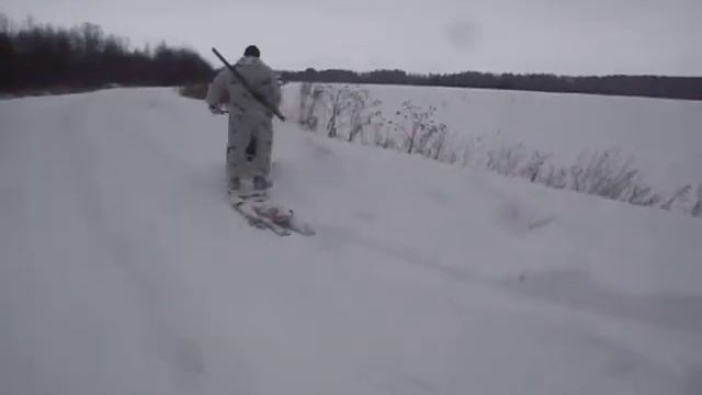 мотособака на охоте. смотреть онлайн