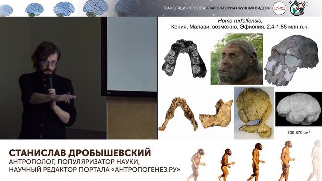 Кратчайший курс антропогенеза. Станислав Дробышевский смотреть онлайн
