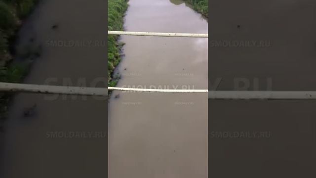 Загрязнение реки в Вязьме. Смоленская область смотреть онлайн