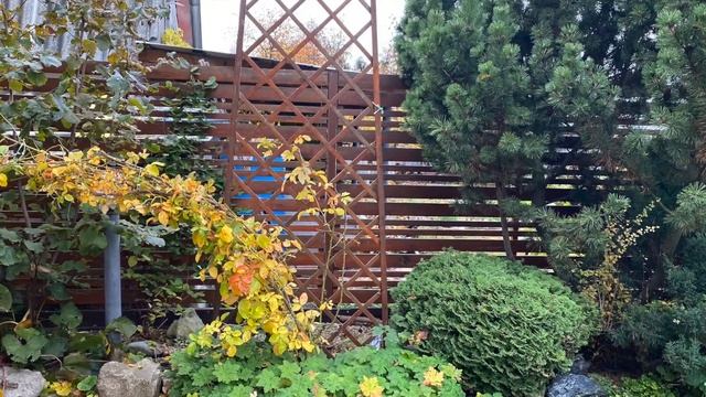 ПОДГОТОВКА к ЗИМЕ/ Цветы, ежевика, газон, грядки, бассейн. смотреть онлайн